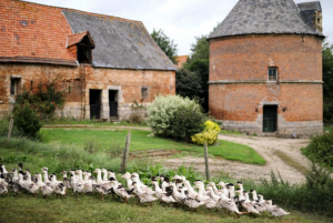 Programme image